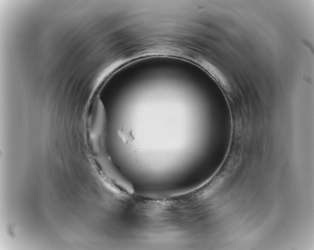 X0000096200854200801251011