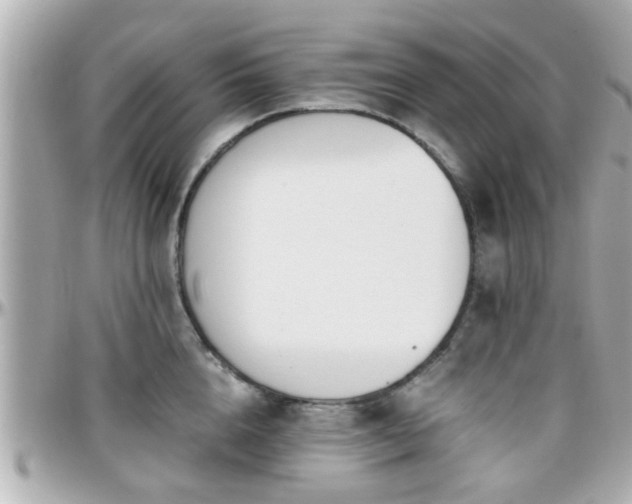 X0000096200856200801251011