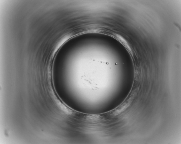 X0000096200859200801251011