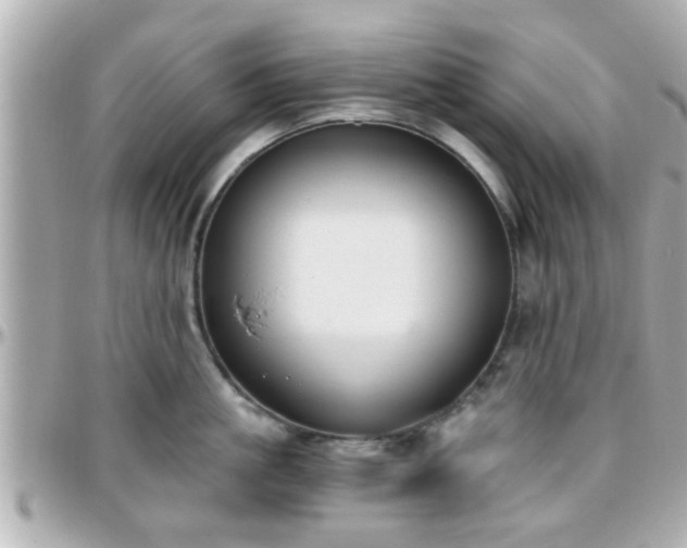 X0000096200861200801251011