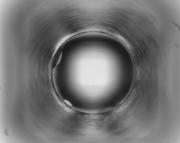X0000096200862200801251011