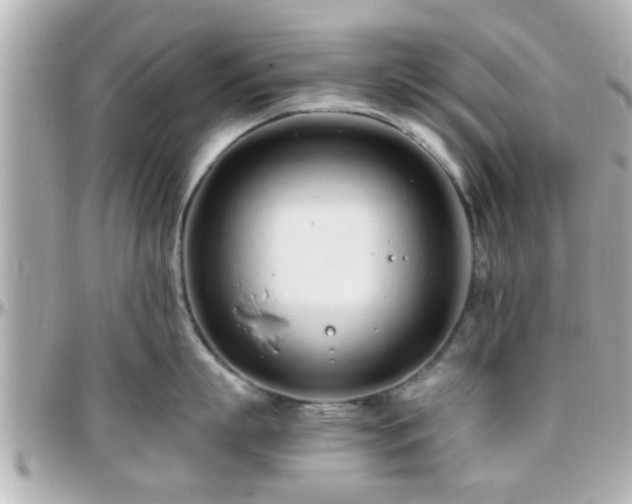 X0000096200863200801251011