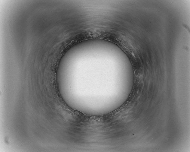X0000096200865200801251010