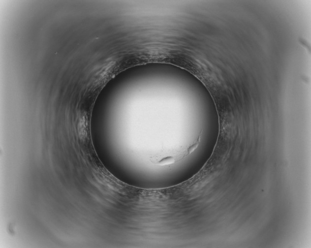 X0000096200866200801251010