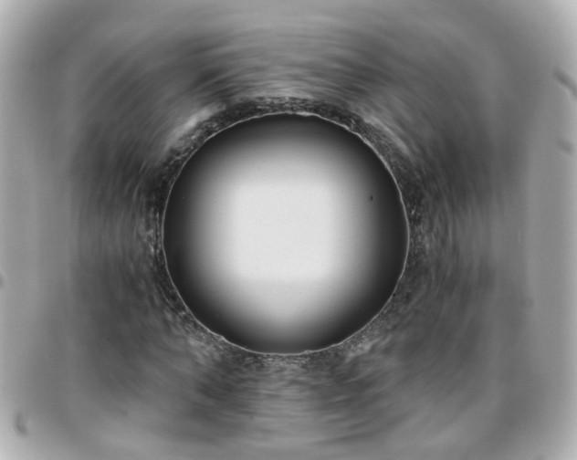 X0000096200870200801251010