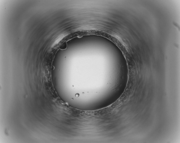 X0000096200871200801251010