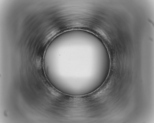 X0000096200873200801251010