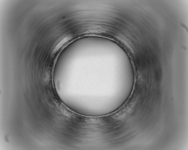 X0000096200874200801251010
