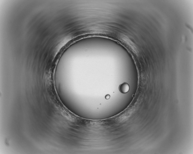 X0000096200875200801251010