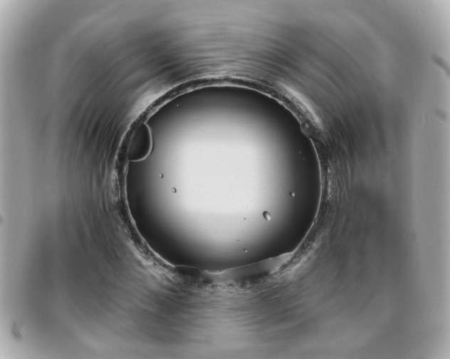 X0000096200876200801251010