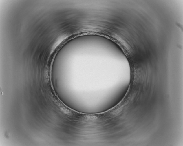 X0000096200878200801251010