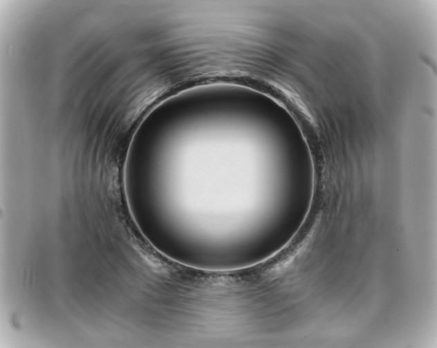 X0000096200881200801251010