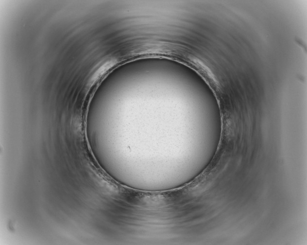 X0000096200882200801251010