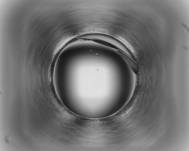 X0000096200885200801251010