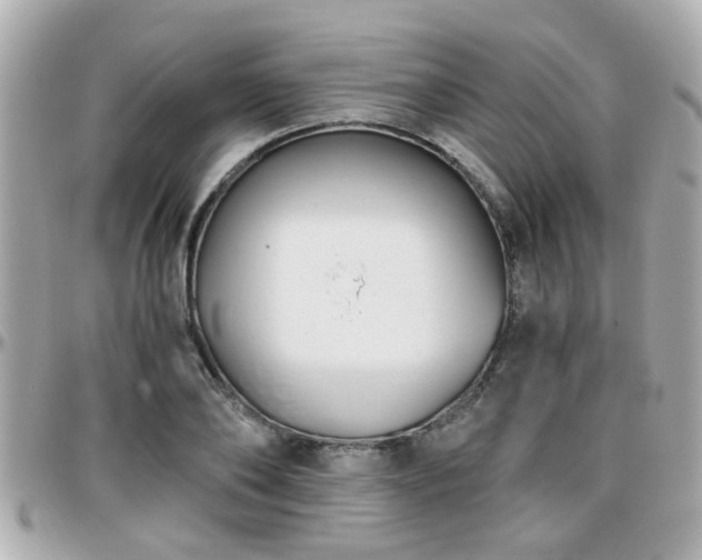 X0000096200886200801251010