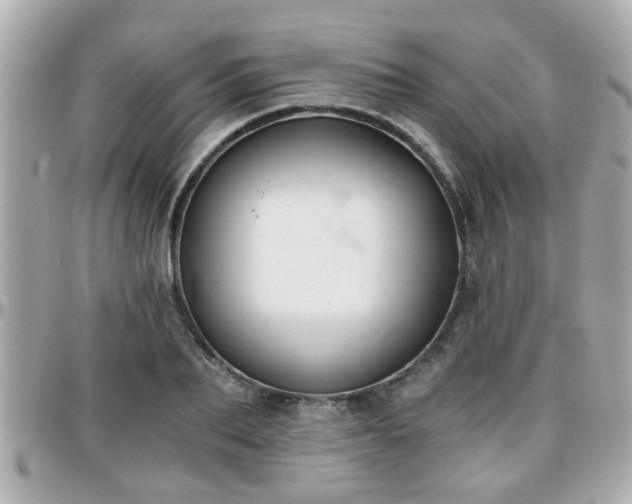 X0000096200887200801251010