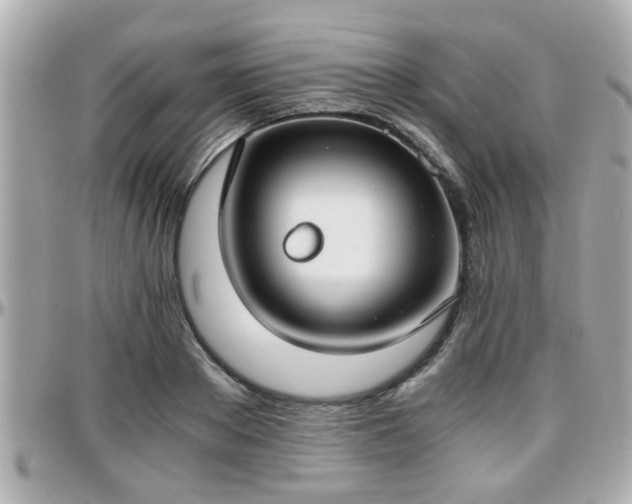 X0000096200889200801251010