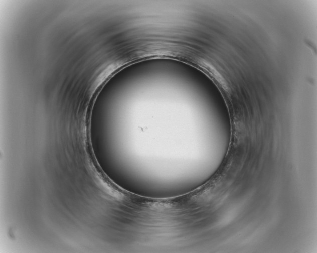X0000096200890200801251010