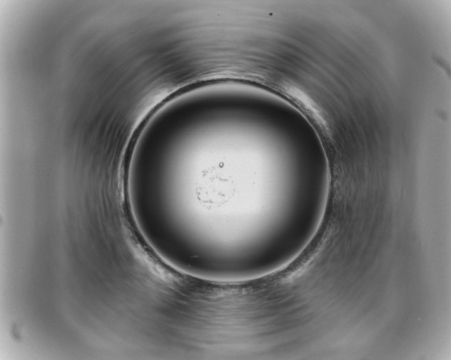 X0000096200892200801251010
