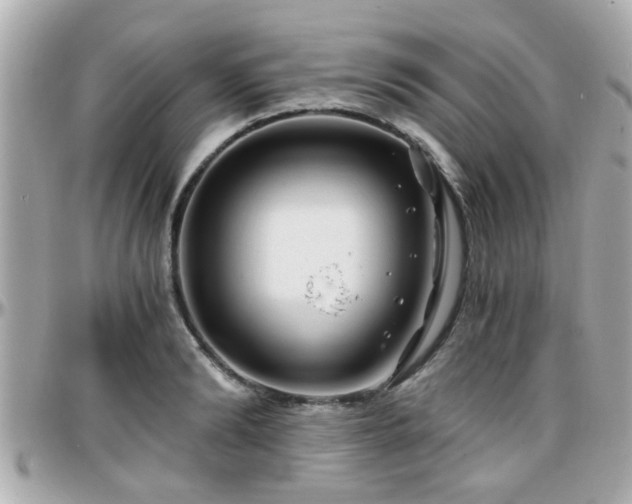 X0000096200894200801251010