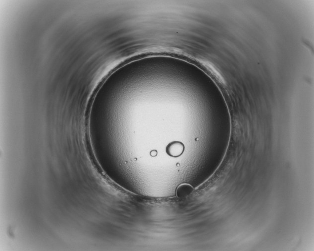 X0000096200895200801251010