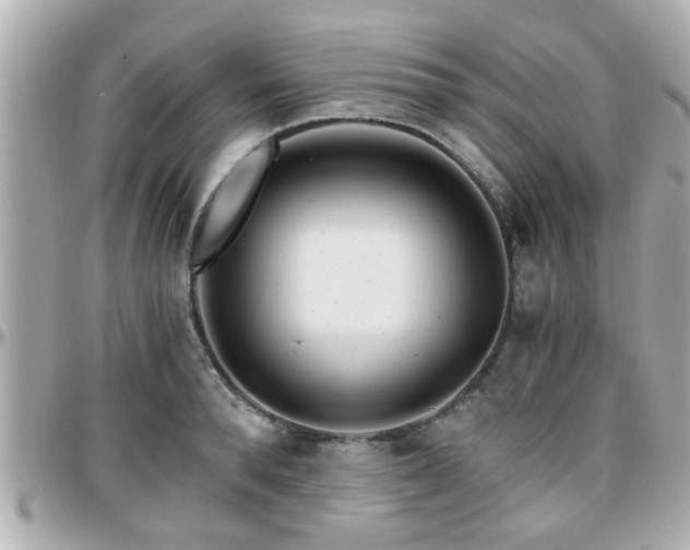 X0000096200896200801251010