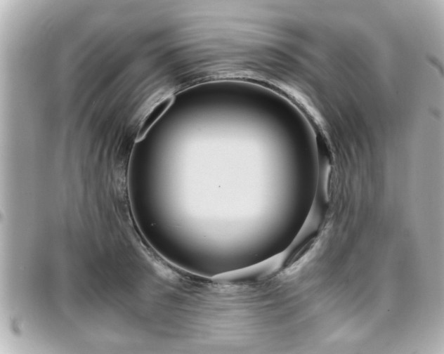 X0000096200897200801251010