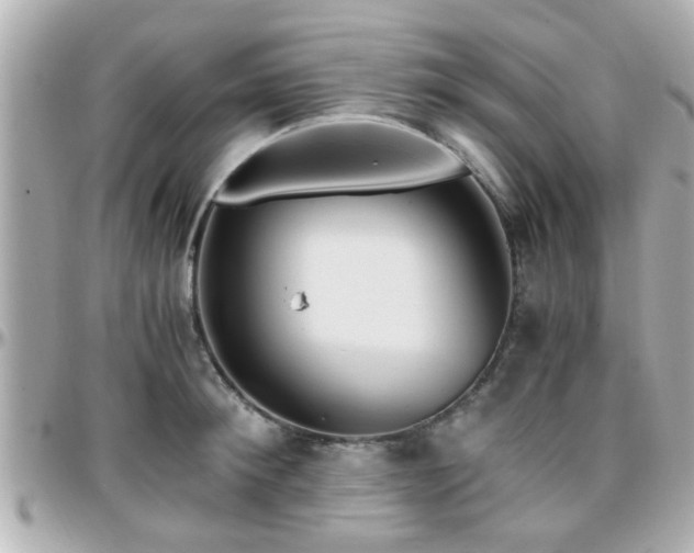 X0000096200900200801251010