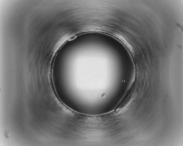 X0000096200901200801251010
