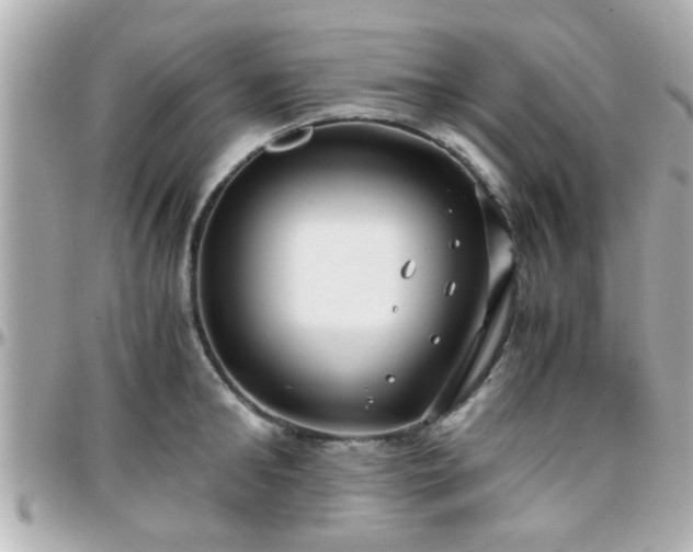 X0000096200902200801251010