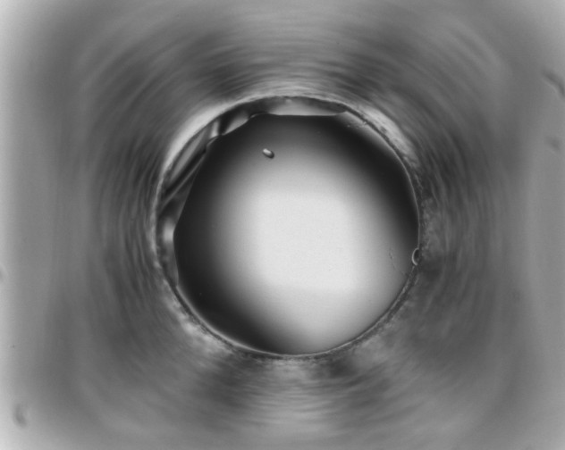 X0000096200904200801251010