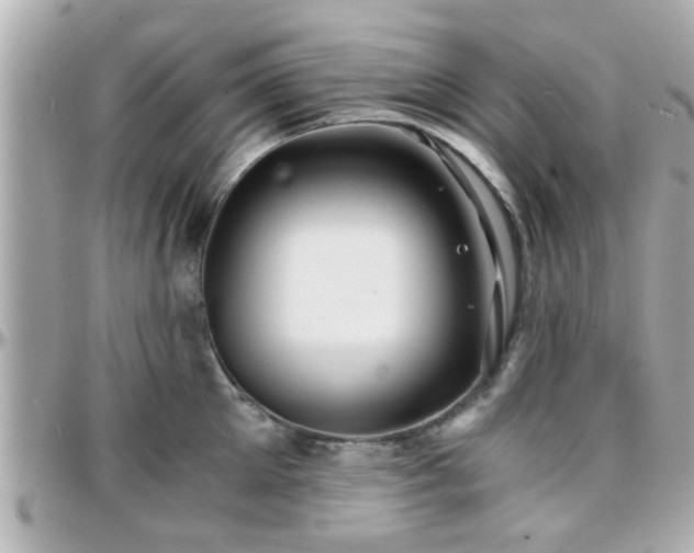 X0000096200905200801251010
