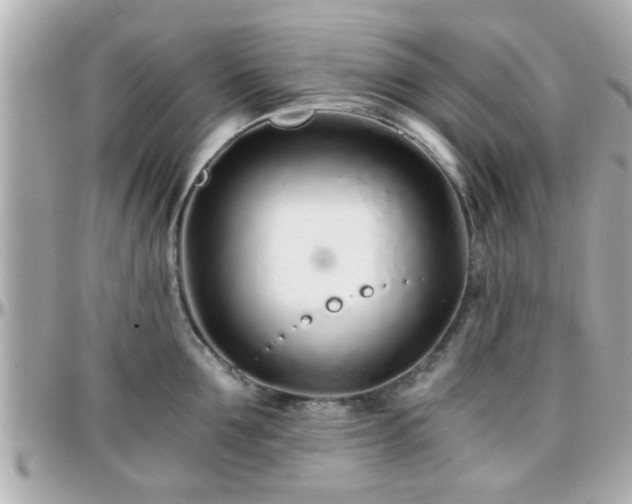 X0000096200907200801251010