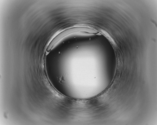 X0000096200908200801251010