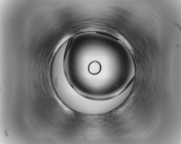 X0000096200909200801251010