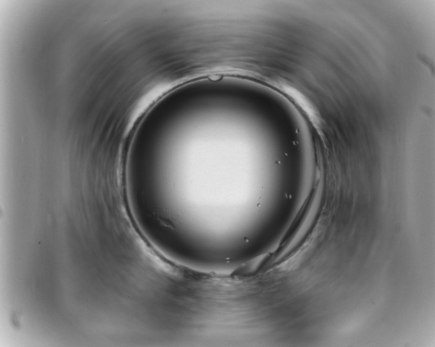 X0000096200910200801251010
