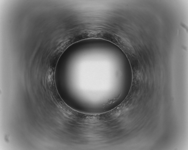 X0000096200914200801251009
