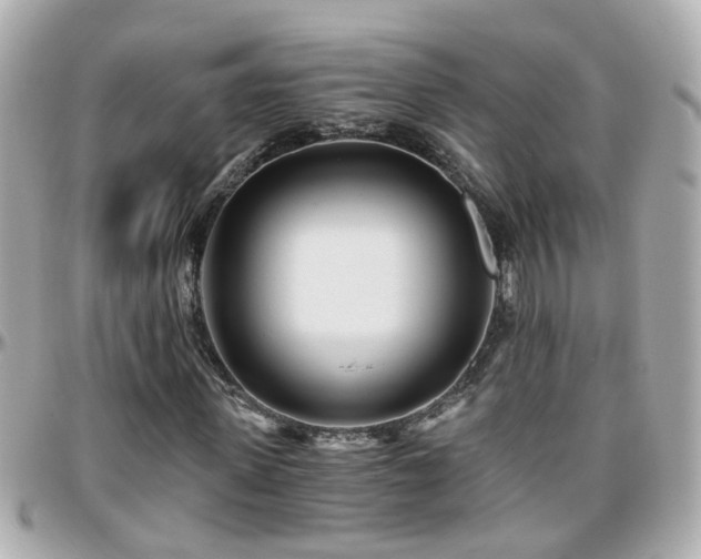 X0000096200915200801251009