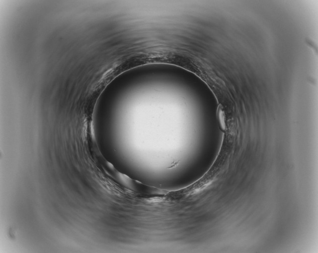 X0000096200916200801251009