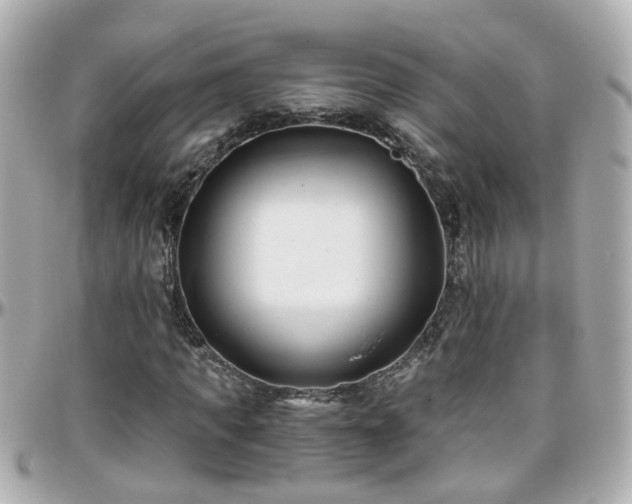 X0000096200917200801251009