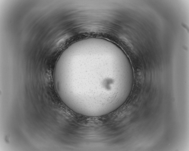 X0000096200918200801251009