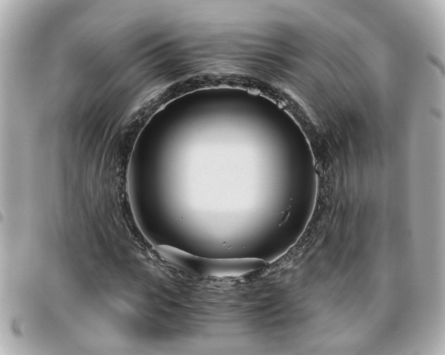 X0000096200919200801251009