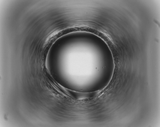 X0000096200920200801251009