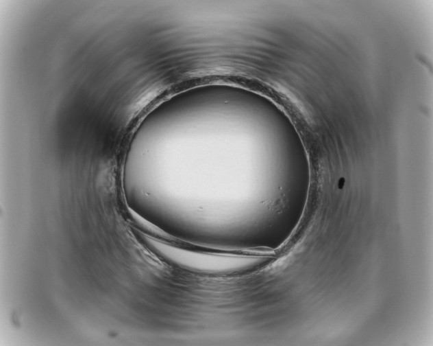 X0000096200921200801251009