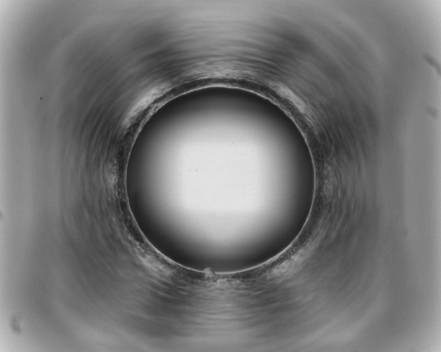 X0000096200922200801251009