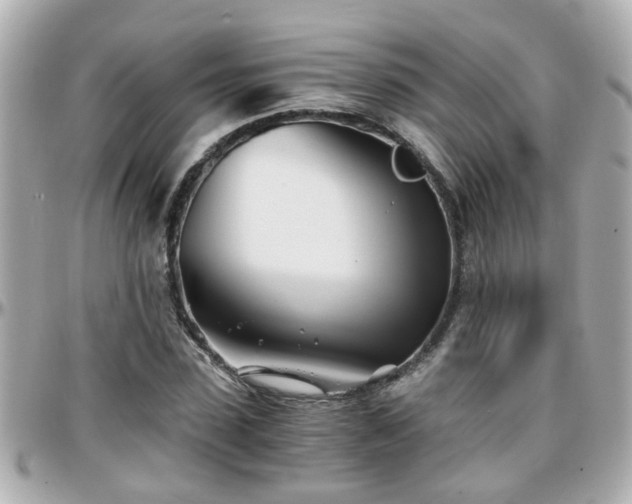 X0000096200923200801251009