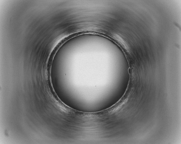 X0000096200924200801251009