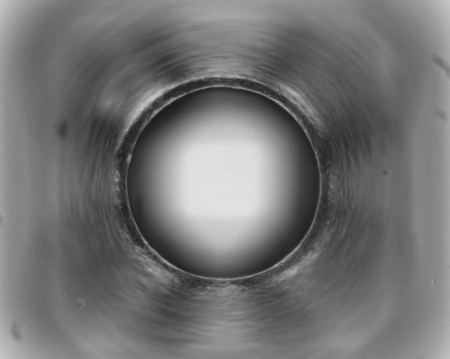 X0000096200926200801251009