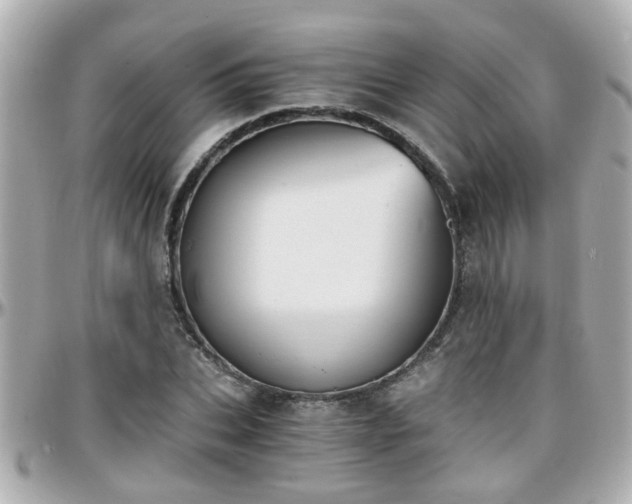 X0000096200927200801251009