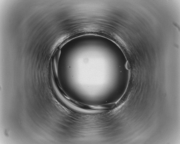 X0000096200930200801251009